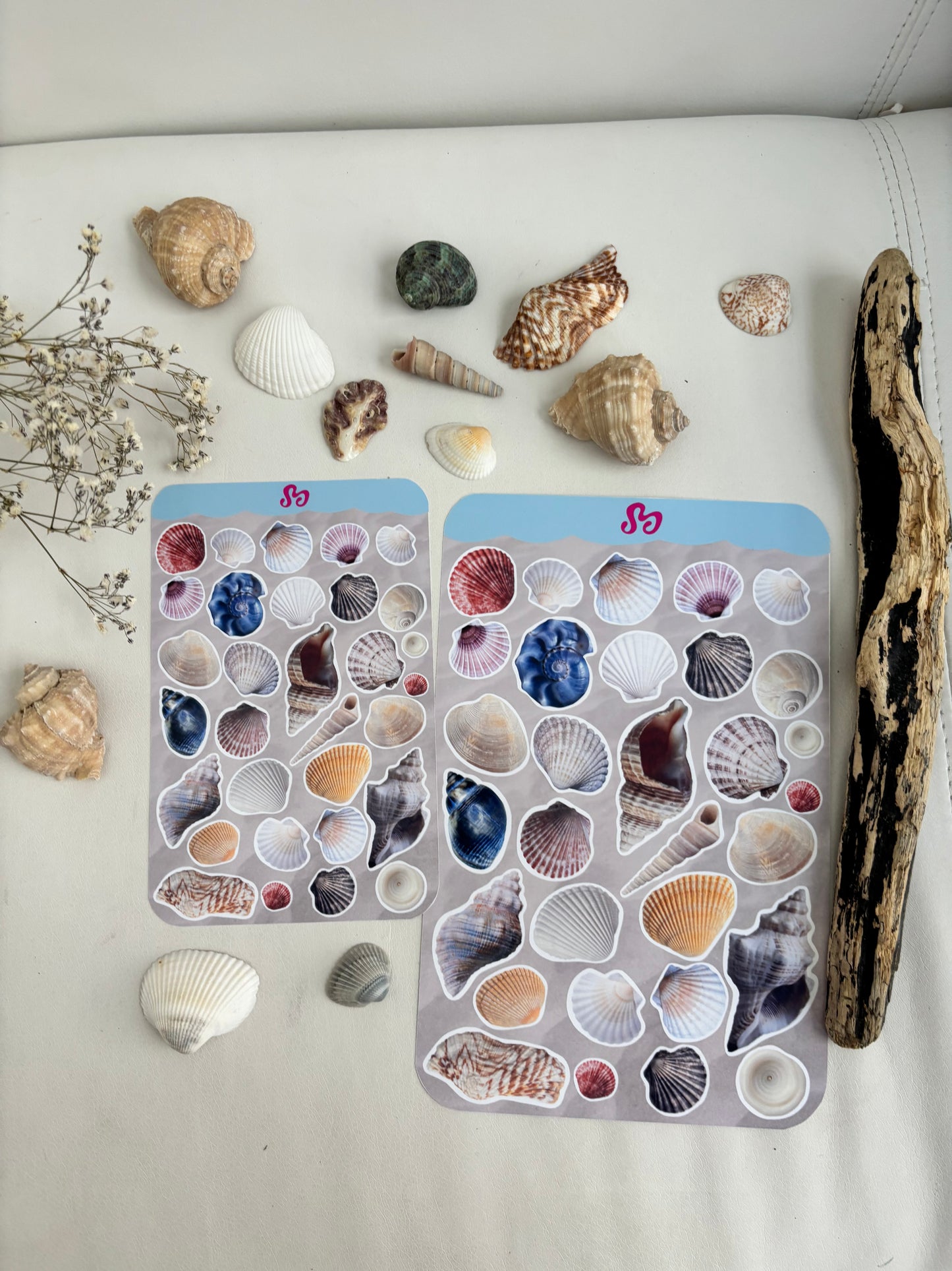 Small shells sticker sheet