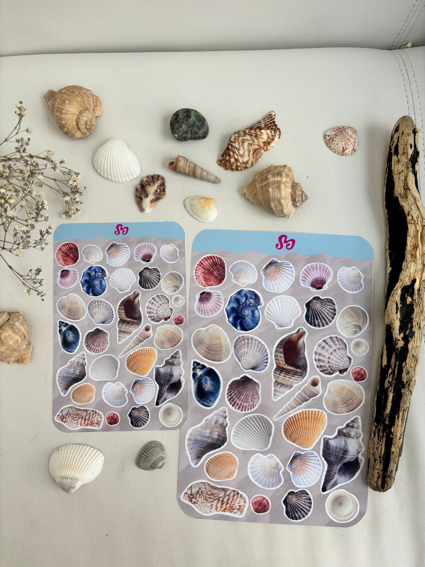 Small shells sticker sheet