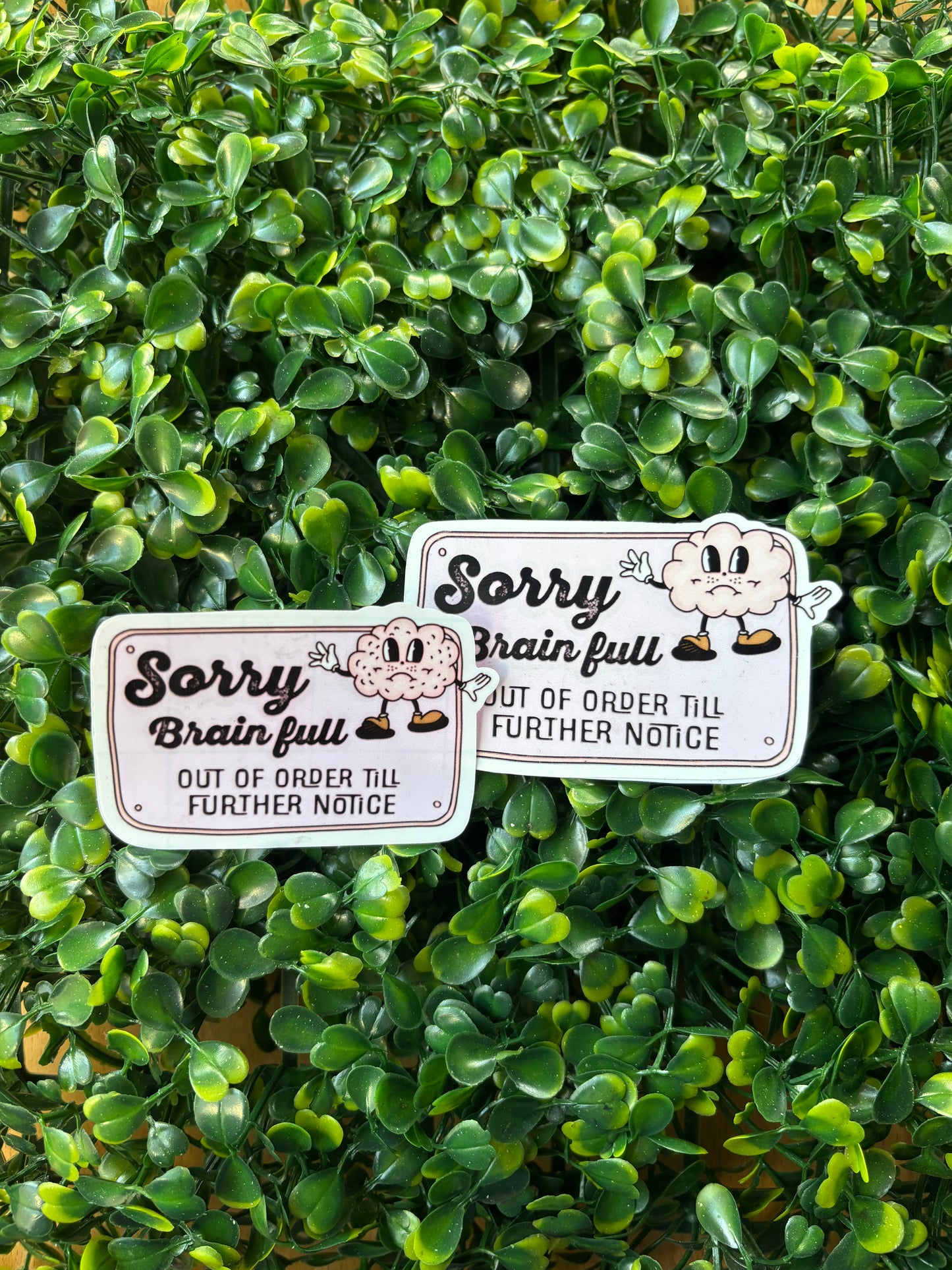 "Sorry Brain Full" Sticker