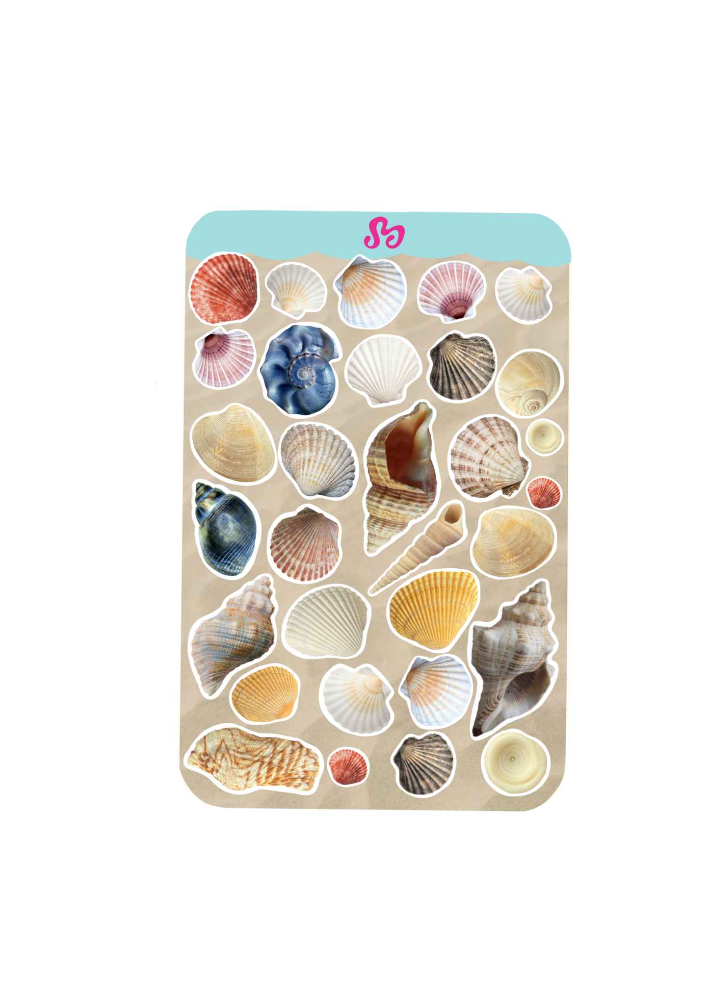 Small shells sticker sheet