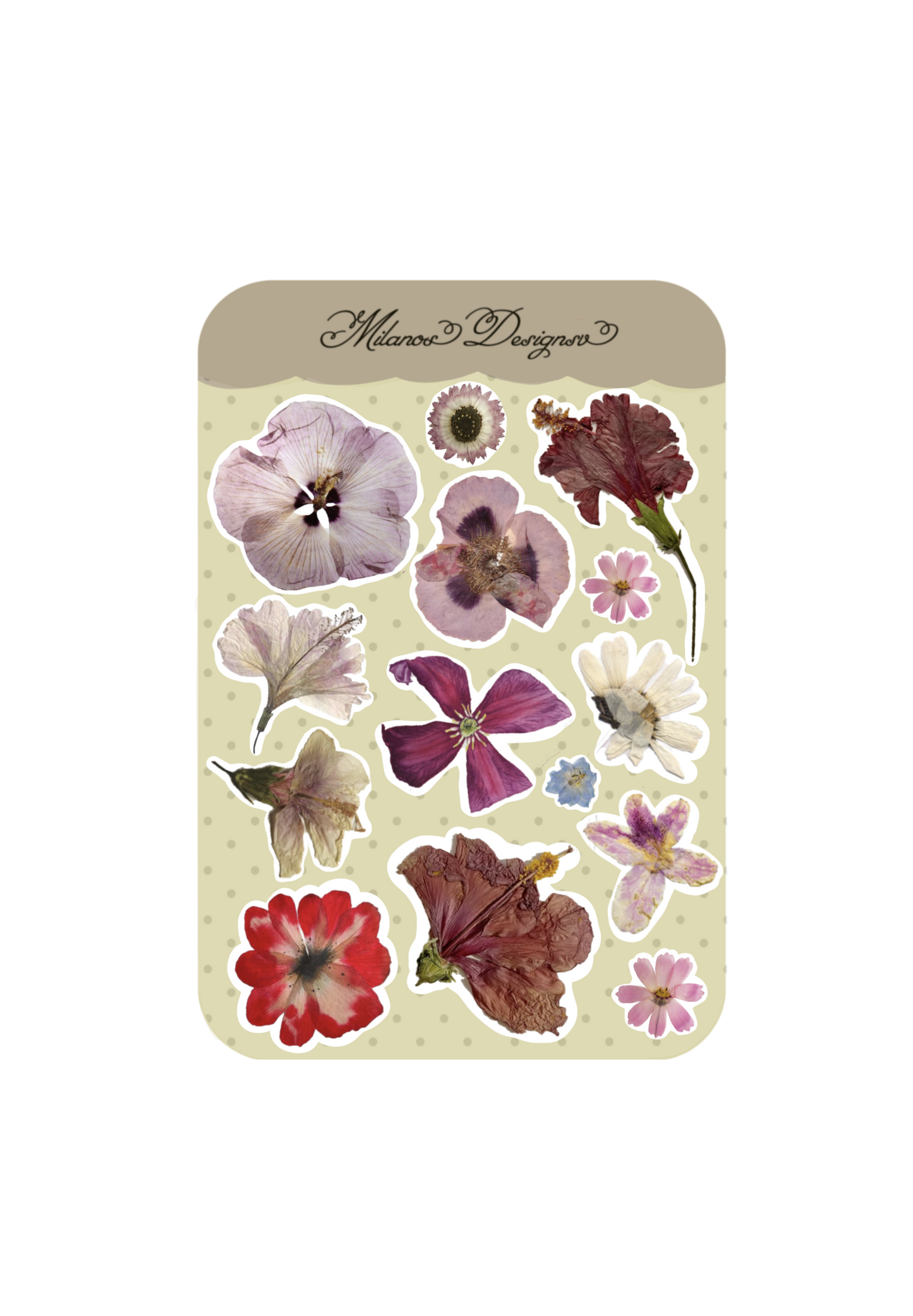 Dried flowers sticker sheet