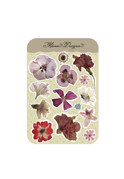 Dried flowers sticker sheet