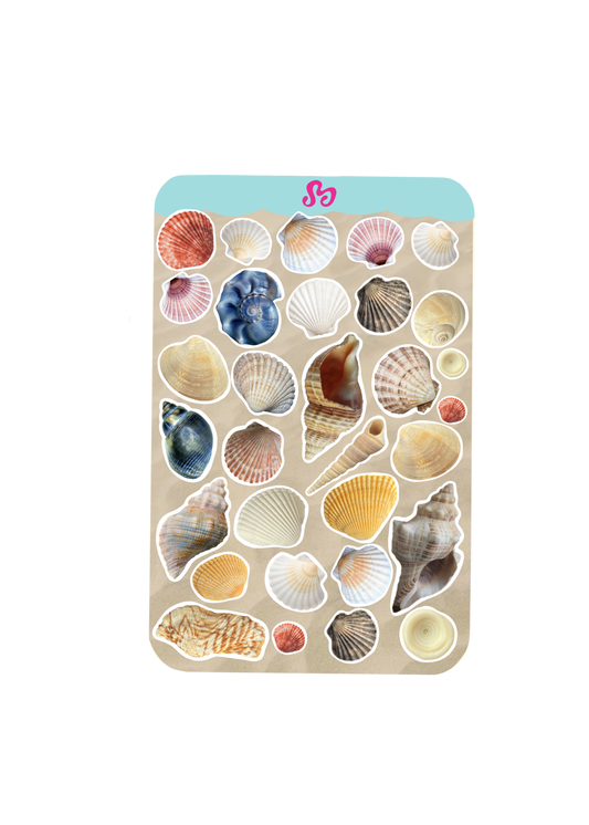 Small shells sticker sheet